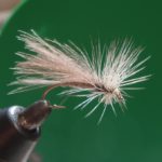 cdcstonefly-150x150.jpg