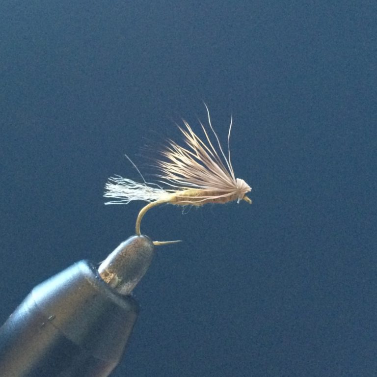 Xカディス Fly patterns